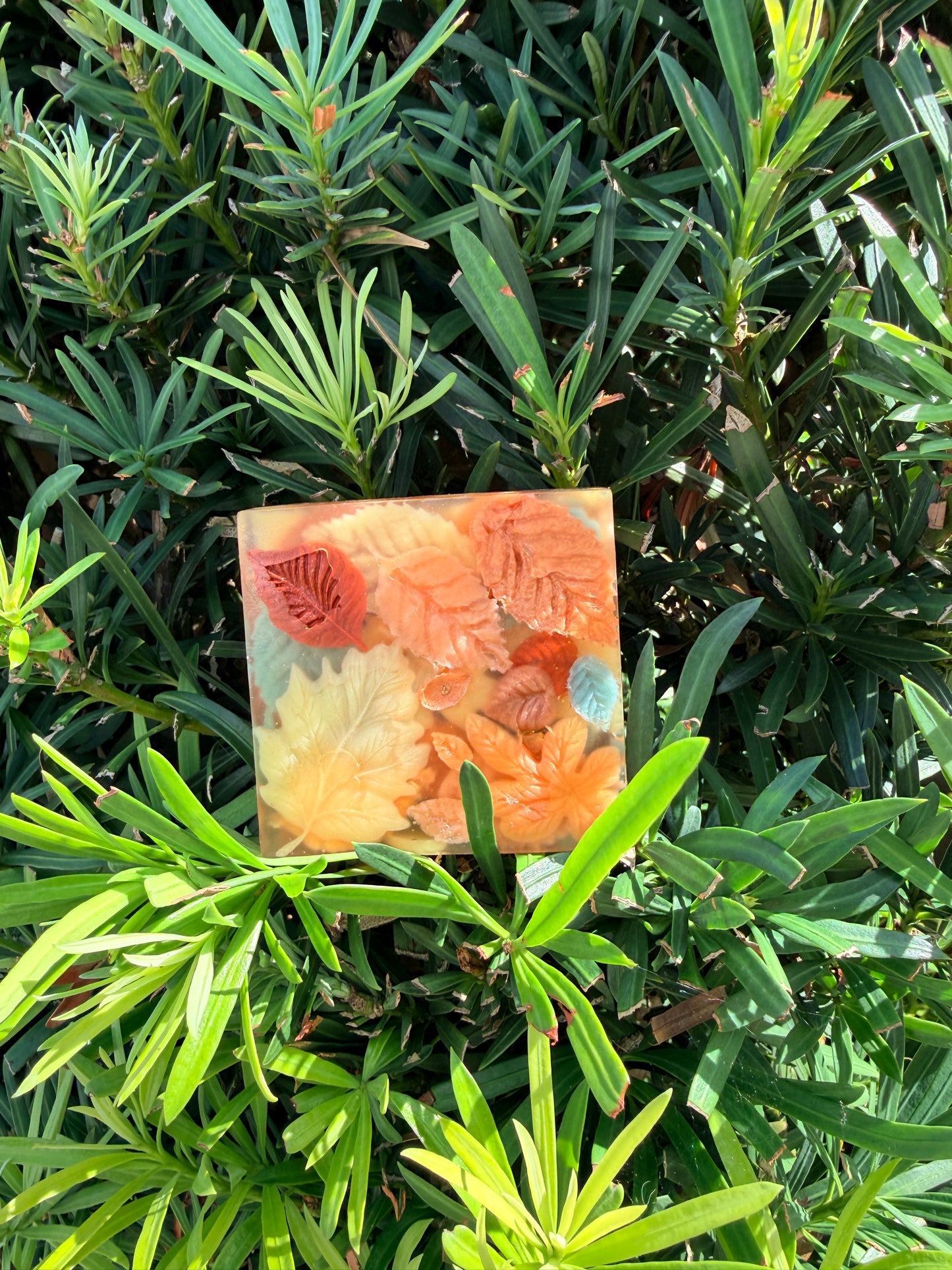 Four Seasons Handcrafted Nature Inspired Bar Soap