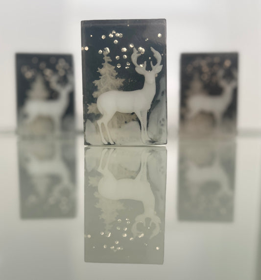 Winter Night